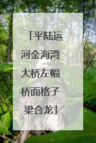 平陆运河金海湾大桥左幅桥面格子梁合龙